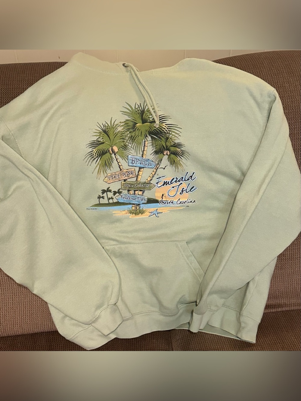 Emerald Isle Palm Graphic Hoodie - Light Sage Green
